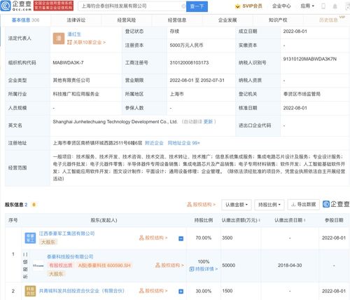 人工智能应用软件开发 机遇、挑战与实践路径